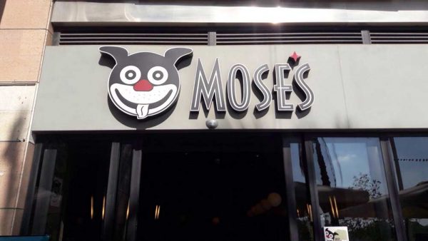 עבודת גינון במוזס של שקד גינון ופיתוח