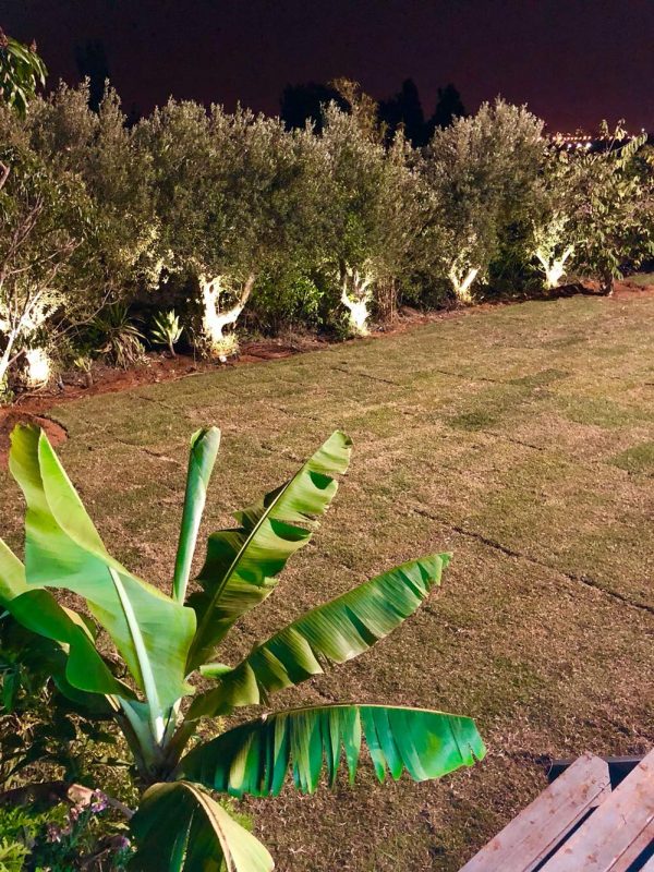 עבודה של שקד גינון ופיתוח