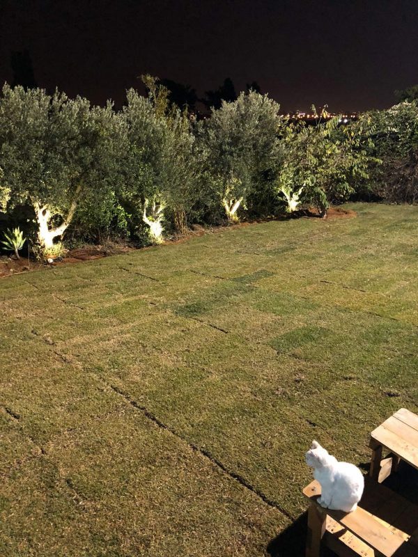 עבודה ברשפון של שקד גינון ופיתוח